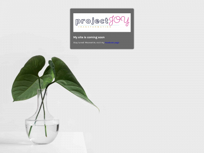 projectjoytransformation.com snapshot
