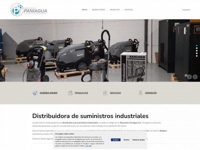 repuestospaniagua.net snapshot