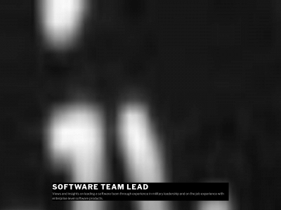 softwareteamlead.com snapshot