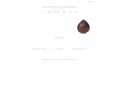 lisachestnut.com snapshot