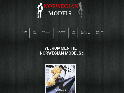 norwegianmodels.no snapshot