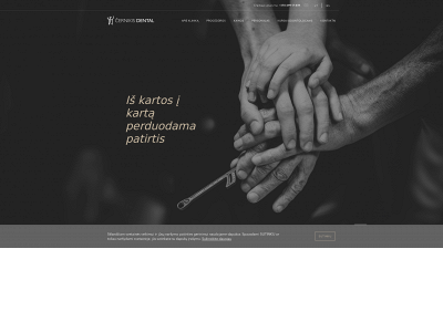 cernikisdental.lt snapshot