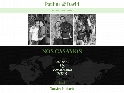 paulinaydavid.com snapshot