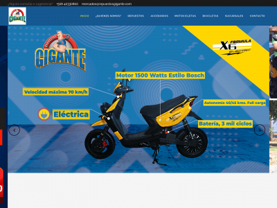repuestosgigante.com snapshot