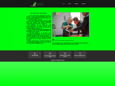 struersdyrlaeger.dk snapshot