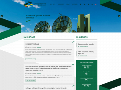 ngpa.lt snapshot
