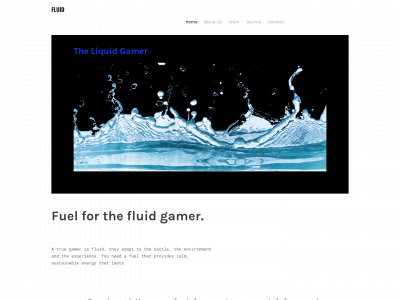 www.liquidgamer.us snapshot