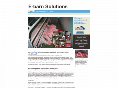e-barnsolutions.com snapshot
