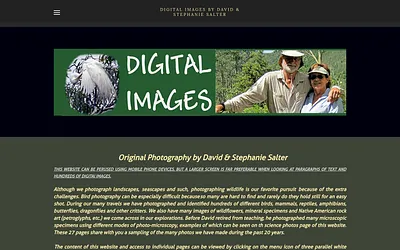 www.davidsalter.net snapshot