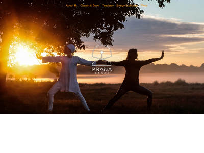 thepranaspace.com snapshot