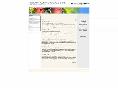 irvvg.lt snapshot