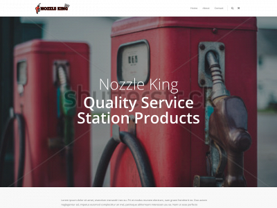 thenozzleking.com snapshot
