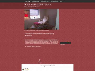 wellness-zoneterapi.dk snapshot