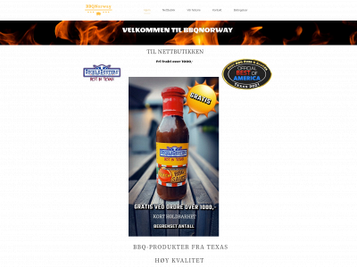 bbqnorway.no snapshot