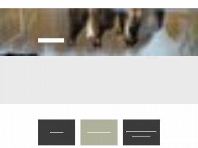 gratisgavefraannamaria.dk snapshot