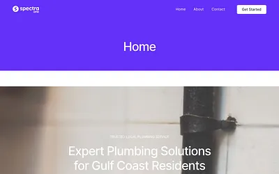 manasotaplumbing.com snapshot