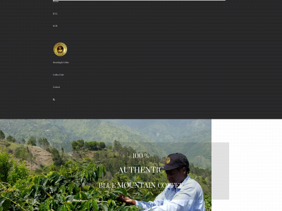 stoneleighcoffee.com snapshot