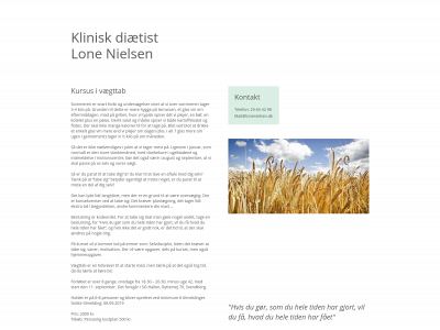 lonenielsen.dk snapshot
