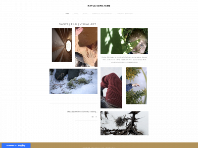kaylaschiltgenmaker.weebly.com snapshot