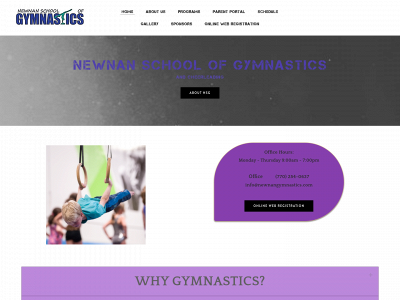 newnangymnastics.weebly.com snapshot