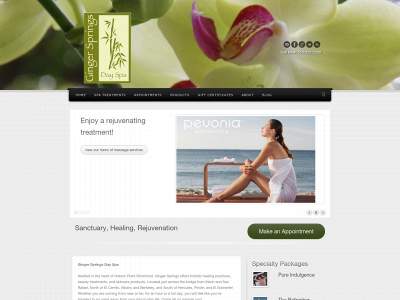 gingersprings.com snapshot