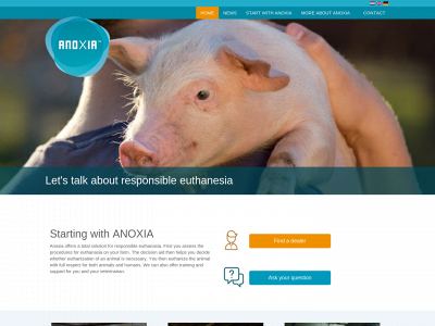 anoxia.co.uk snapshot