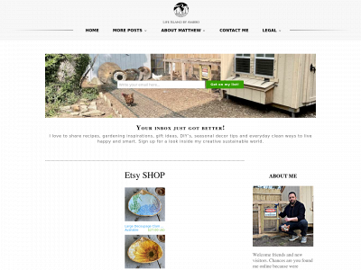 www.lifeisland.co snapshot