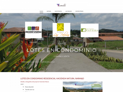 www.ticoestate.com snapshot
