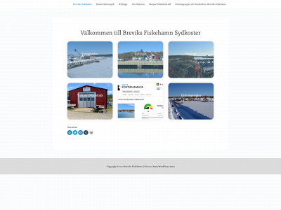 brevikshamnen.se snapshot
