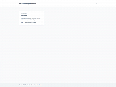 naturalbodiespilates.com snapshot