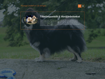 flyingcarpets.fi snapshot