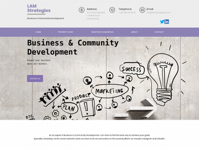 lamstrategies.com snapshot