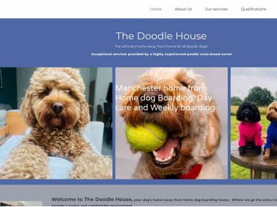 thedoodlehouse.site snapshot