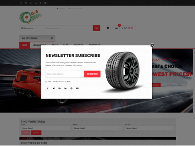 dstires.ca snapshot