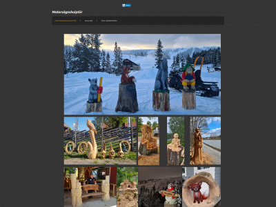 woodfun.se snapshot