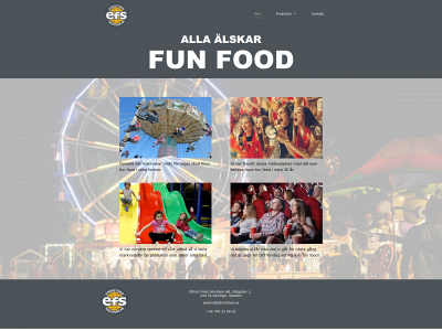 ethnicfood.se snapshot