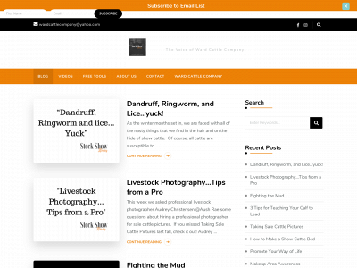 stockshowstories.com snapshot