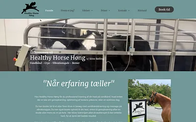 healthyhorsehoeng.dk snapshot