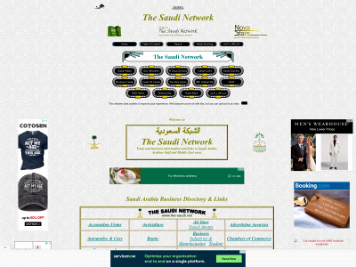 thesaudi.com snapshot