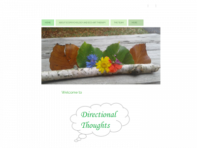 directionalthoughts.co.uk snapshot