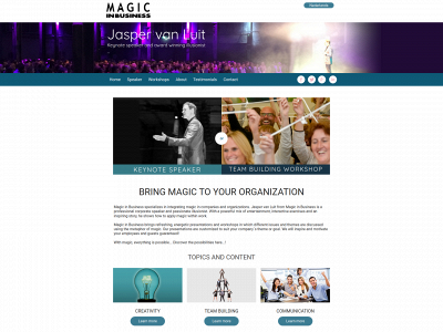 magicinbusiness.com snapshot