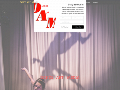 www.danceartmedia.com snapshot