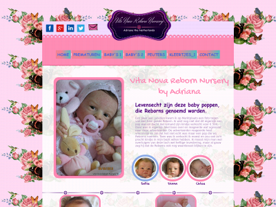myreborn.nl snapshot