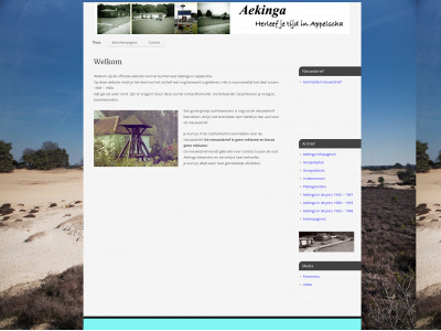 aekinga.nl snapshot