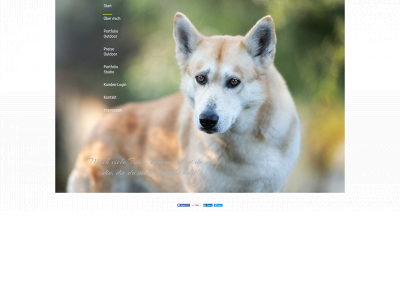 pfotoart.ch snapshot