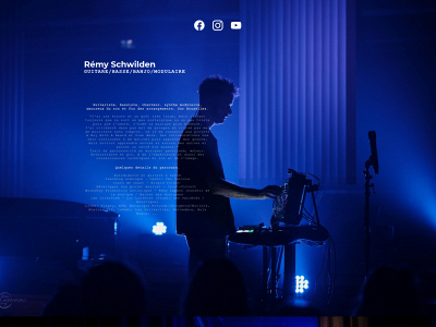 remyschwilden.be snapshot