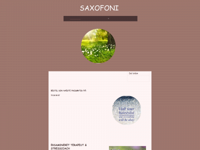 saxofoni.com snapshot