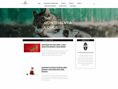 thequintessentialguide.com snapshot