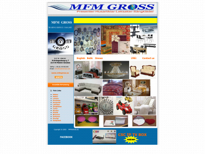mfmgross.se snapshot