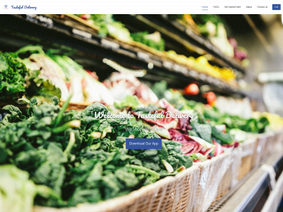 tastefuldelivery.com snapshot